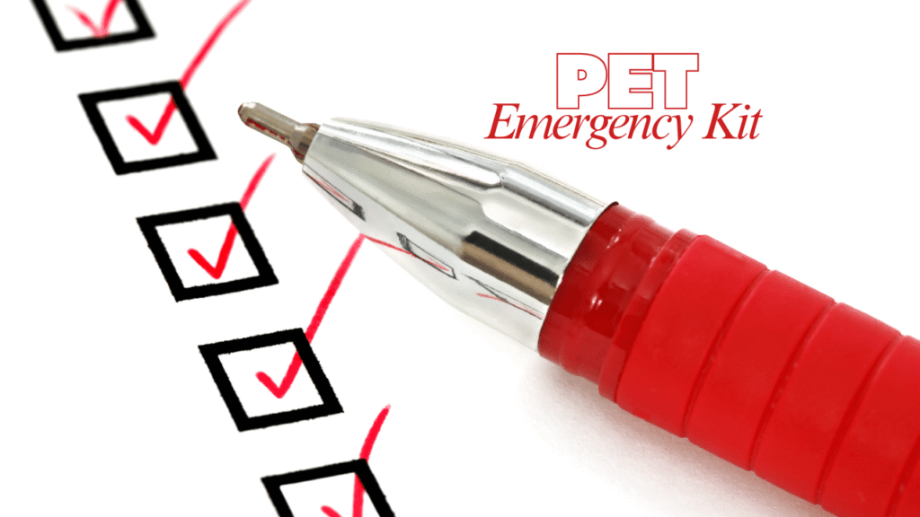 Pet Emergency Kit