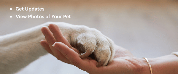 Pet Sitter App